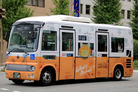 新潟交通（路線小型）