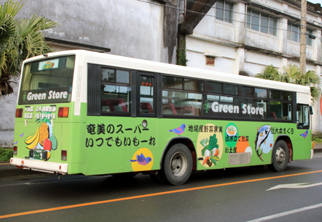 (Emi)青パパイヤ ※訳あり※ 24キロ 奄美群島産 古参車両SA】しまバス